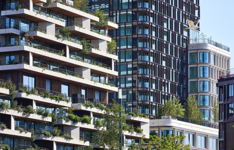 Kondor Wessels Amsterdam - Wonderwoods - Header